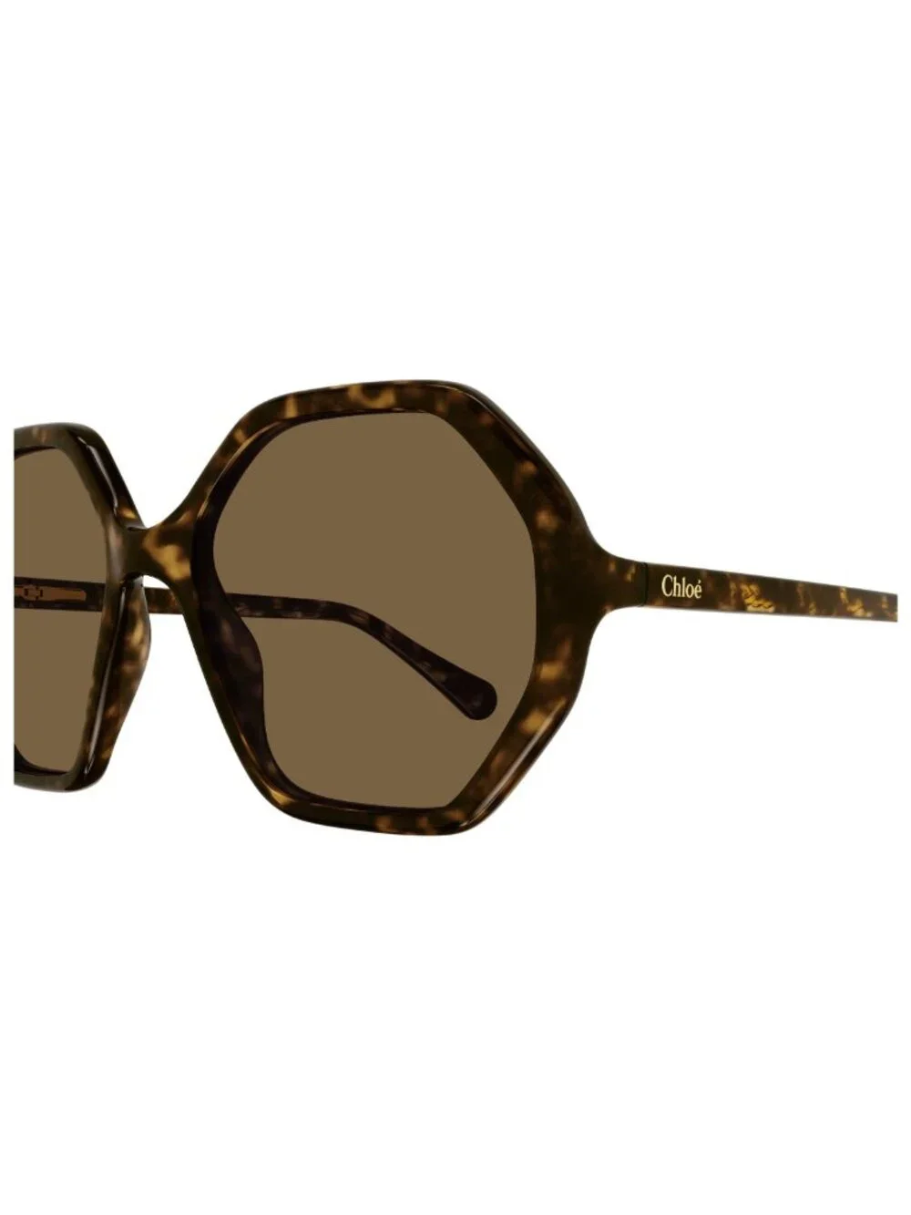 New Chloé Unisex Sunglasses Havana Square Brown Lens Acetate Frame CC0004S 008